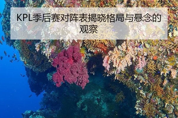 KPL季后赛对阵表揭晓格局与悬念的观察