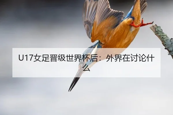U17女足晋级世界杯后：外界在讨论什么